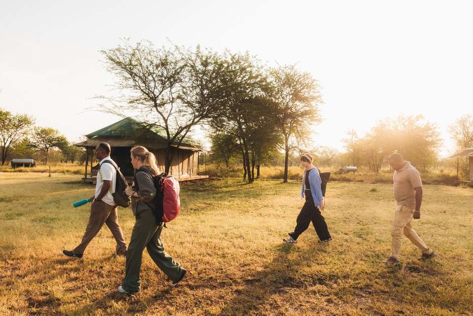 Gorillas to Vic Falls - Intrepid Travel - Kenya - Image 6