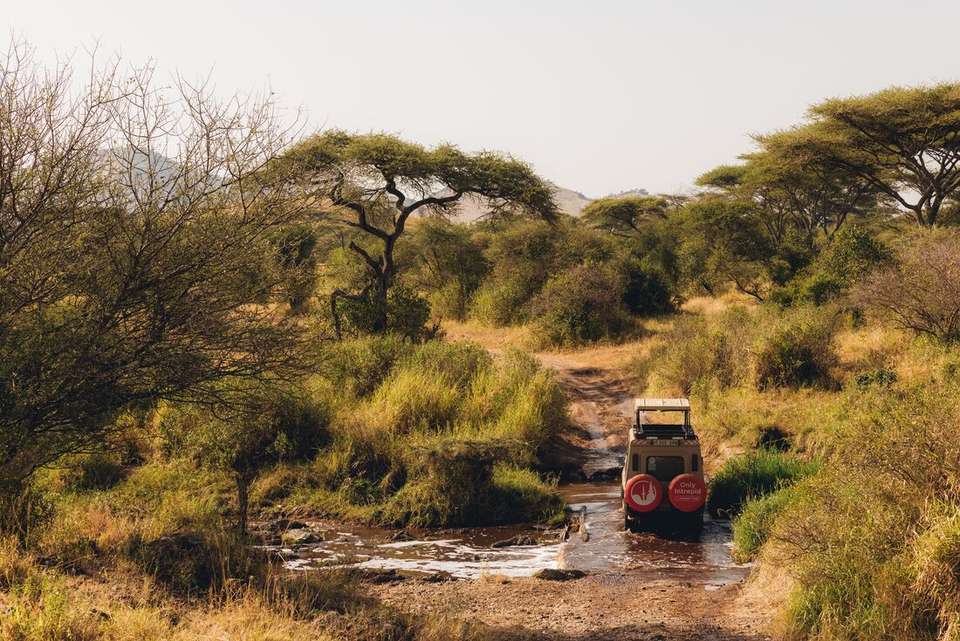Gorillas to Vic Falls - Intrepid Travel - Kenya - Image 5