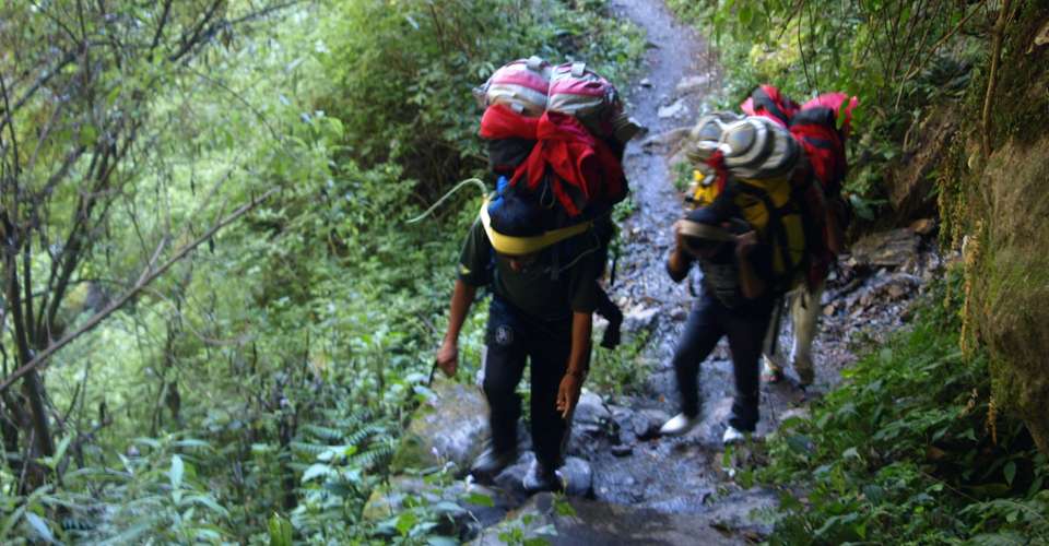 Gosaikunda  Trekking 7-Days - Nepal Lion Tours And Treks Pvt Ltd - Nepal - Image 2
