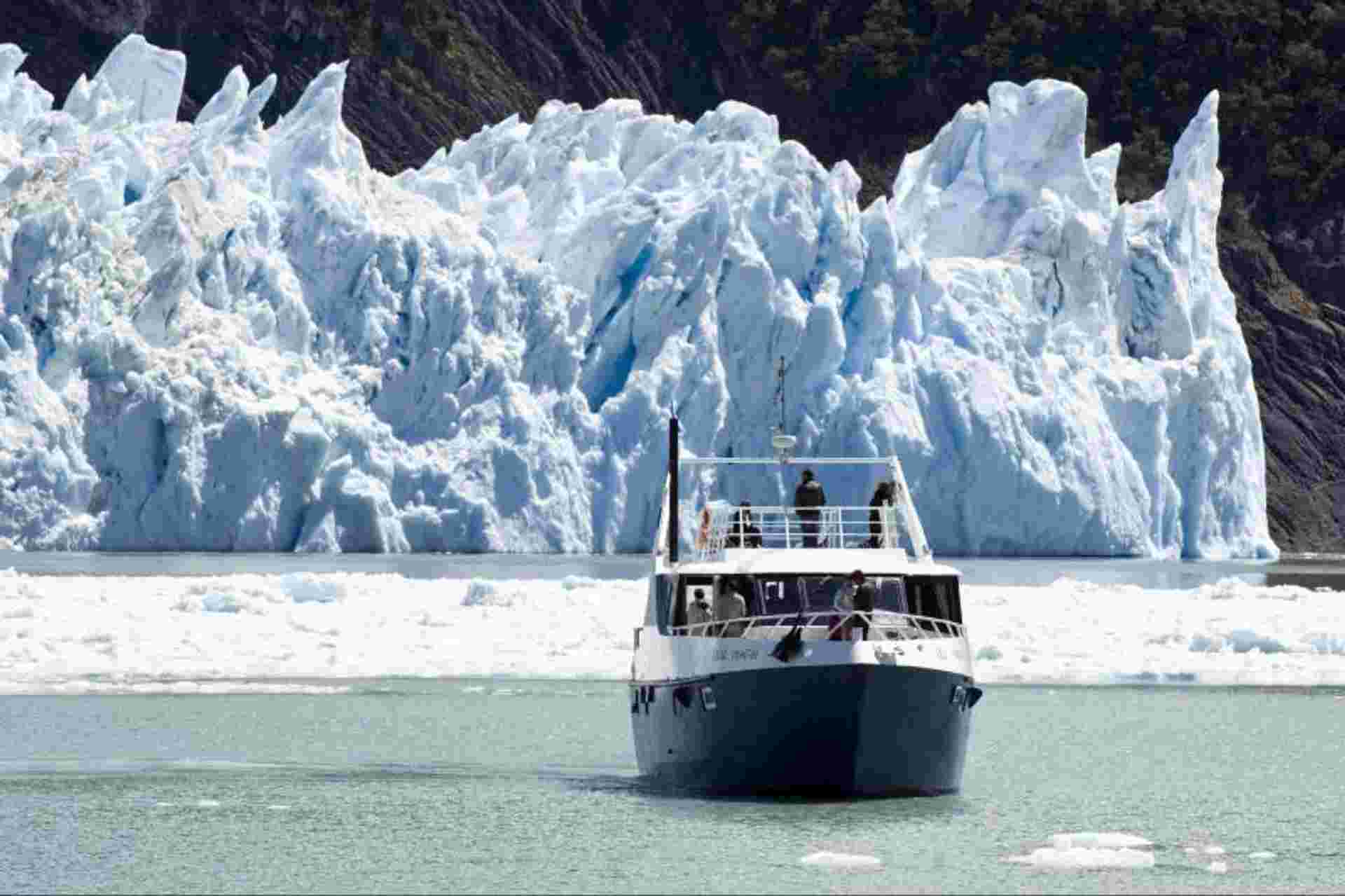 Gourmet Glaciers Experience from El Calafate with optional walkways in Perito Moreno
