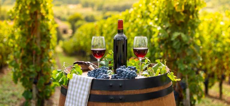 Walking in Burgundy's Vineyards trip - alternative tour available