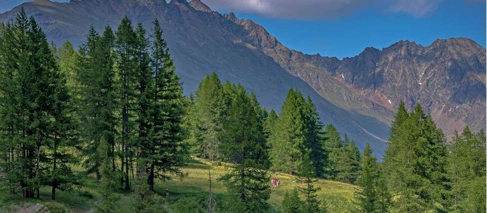 Gran Paradiso Guided Hike - Utracks - France - Image 6