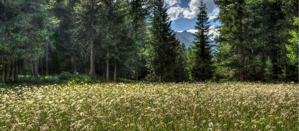 Gran Paradiso Guided Hike - Utracks - France - Image 8