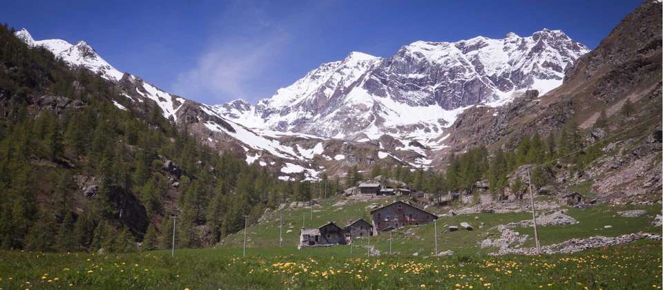 Gran Paradiso Guided Hike - Utracks - France - Image 10
