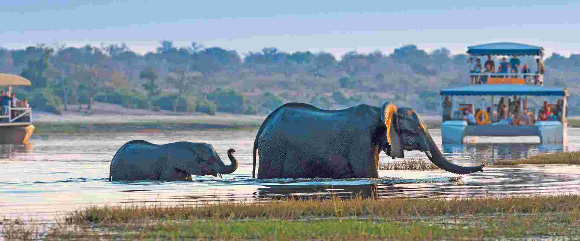 Grand African Safari