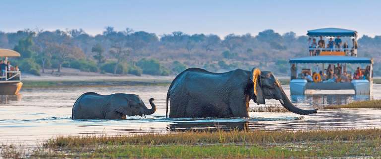 Grand African Safari trip - alternative tour available