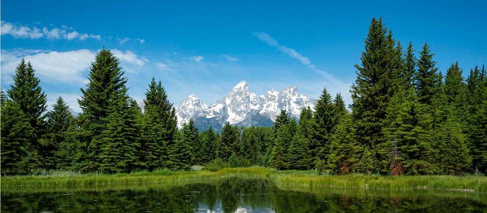 Grand Canyon, Yellowstone and Rocky Mountain Trails - undefined - Image 7