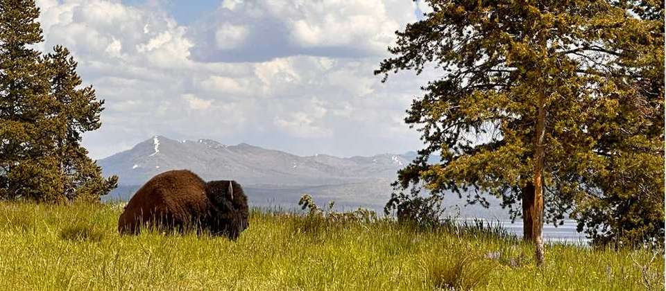 Grand Canyon, Yellowstone and Rocky Mountain Trails - undefined - Image 8