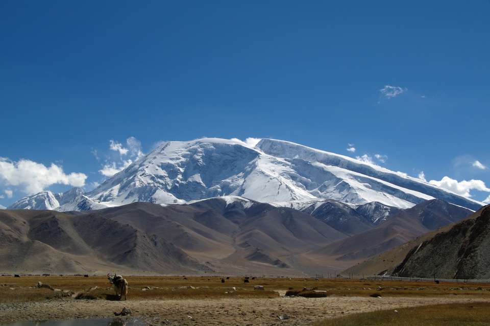 Image 7 of 15