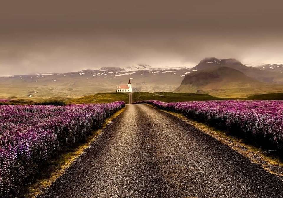 Grand Tour Of Iceland - Indus Travels - Iceland - Image 5