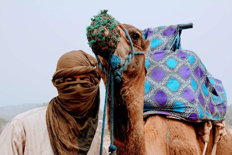 Best Of Morocco - Eskapas - Morocco - Image 2
