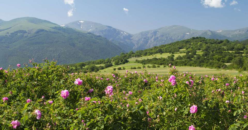 Grand Tour of Romania, Serbia & Bulgaria - Explore - Romania - Image 15