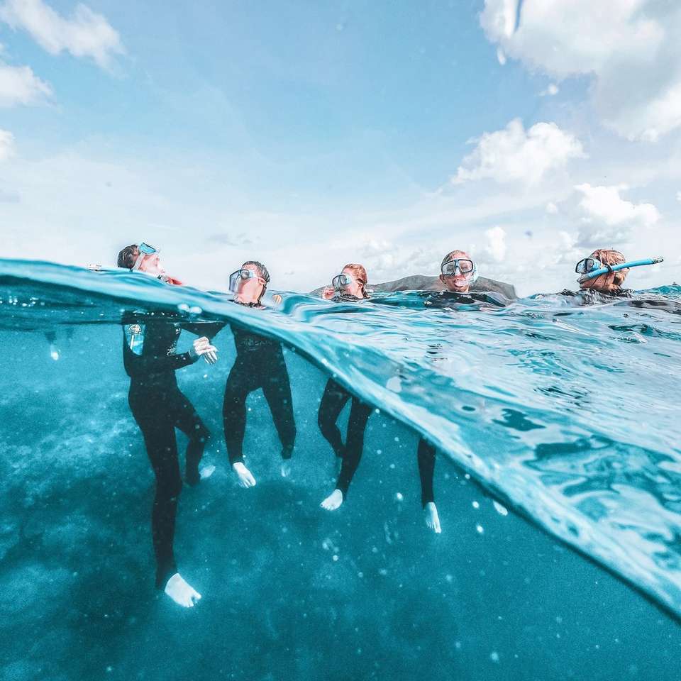 Great Barrier Reef Explorer - Contiki - Australia - Image 6