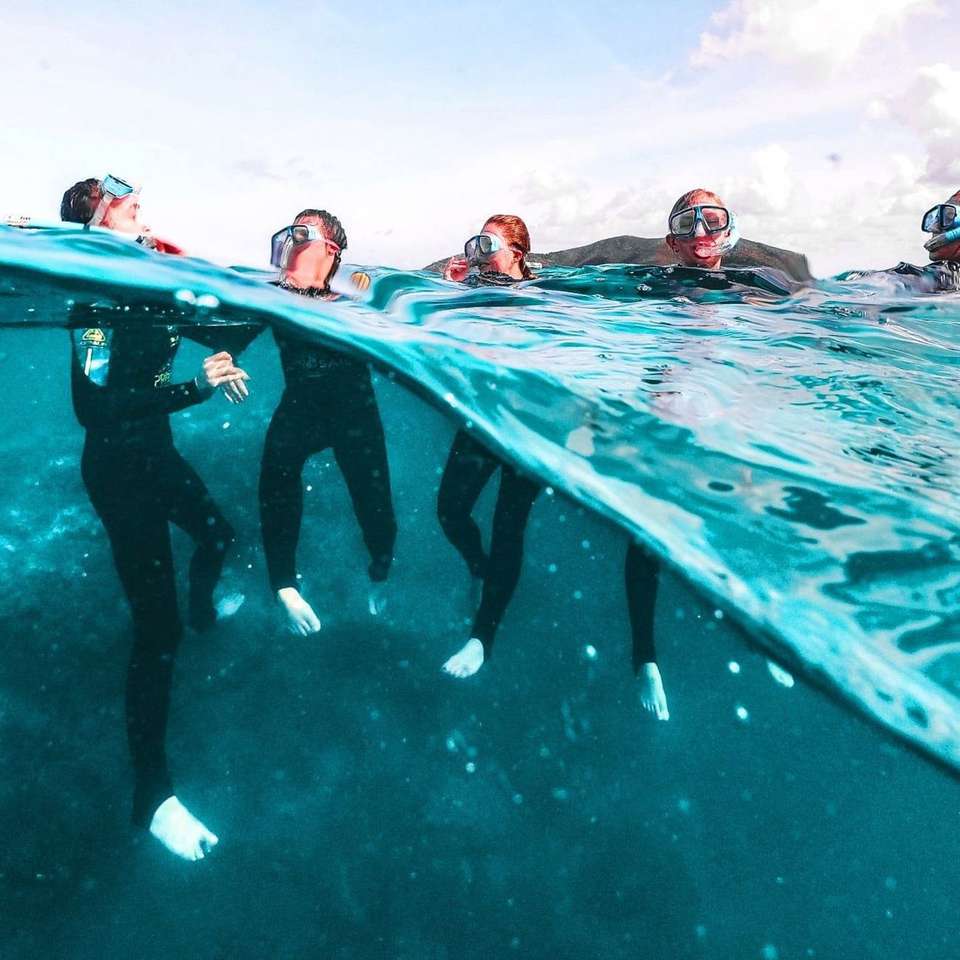 Great Barrier Reef Explorer - Contiki - Australia - Image 6