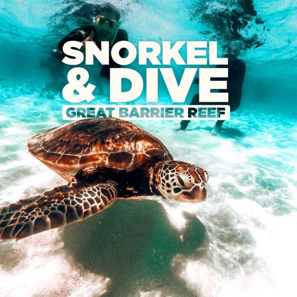 Great Barrier Reef Explorer - Contiki - Australia - Image 7