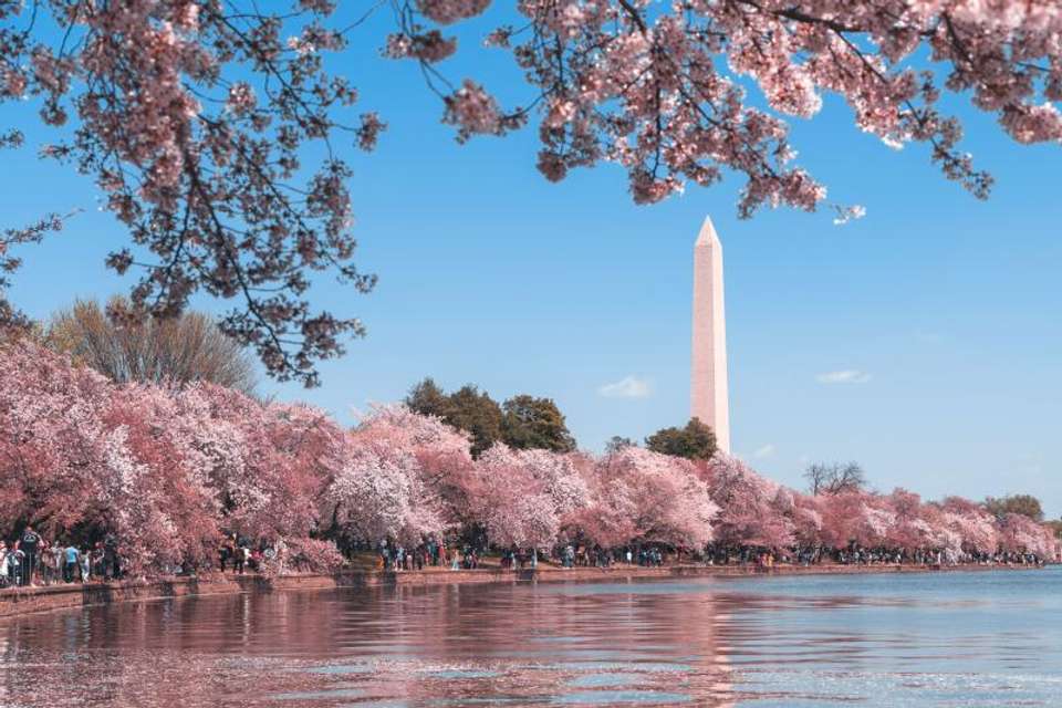 Great Eastern Cities - Omega Tours - USA - Image 2