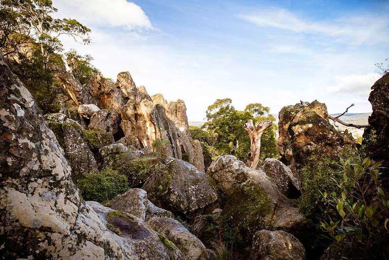 Great Ocean Road & Grampians Adventure trip - alternative tour available