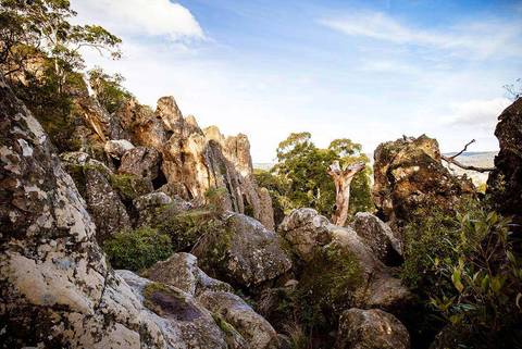 Oceania Guided And Escorted Tours: Great Ocean Road & Grampians Adventure