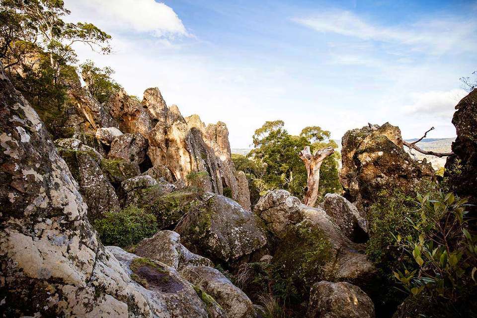 Great Ocean Road & Grampians Adventure - Intrepid Travel - Australia - Image 1
