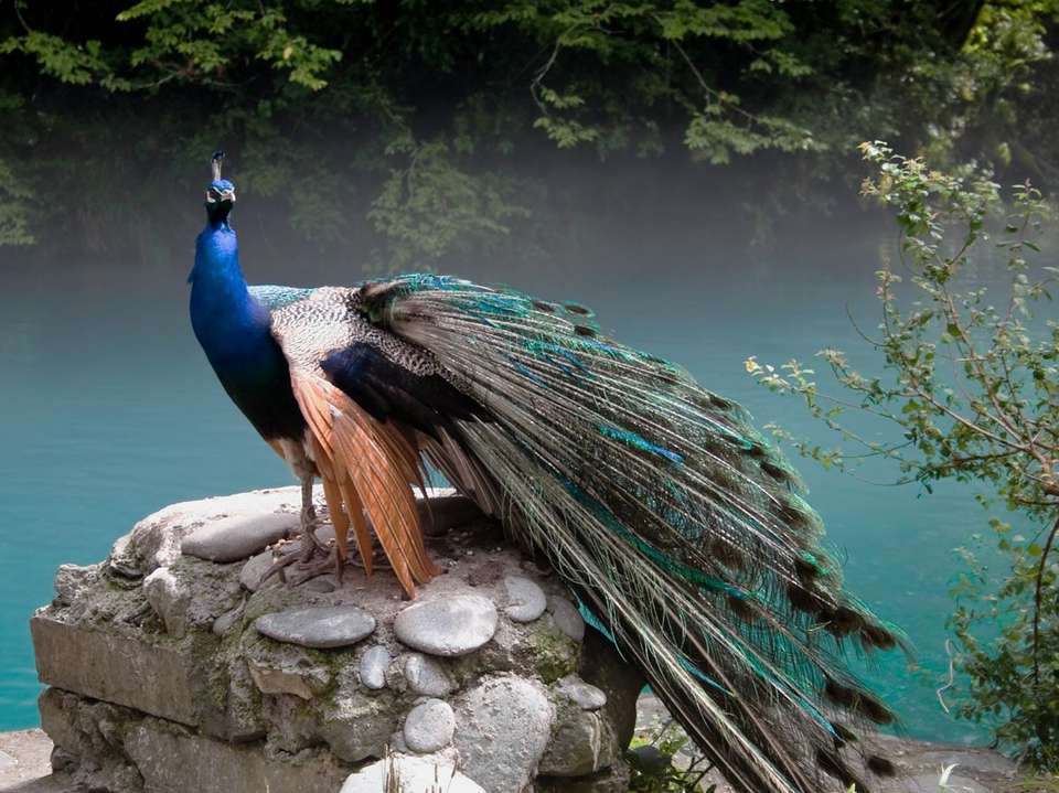 Great Southern Getaway - 15 days - On The Go Tours - India - Image 2