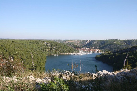 Image 5 of 23