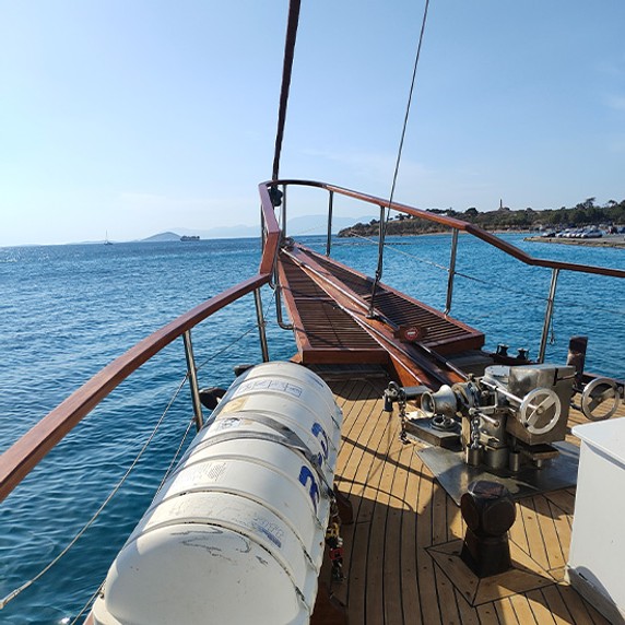 Image 3 of 7