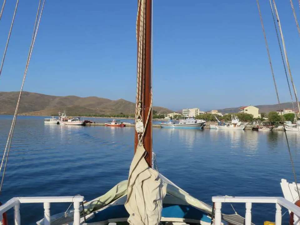 Image 7 of 16