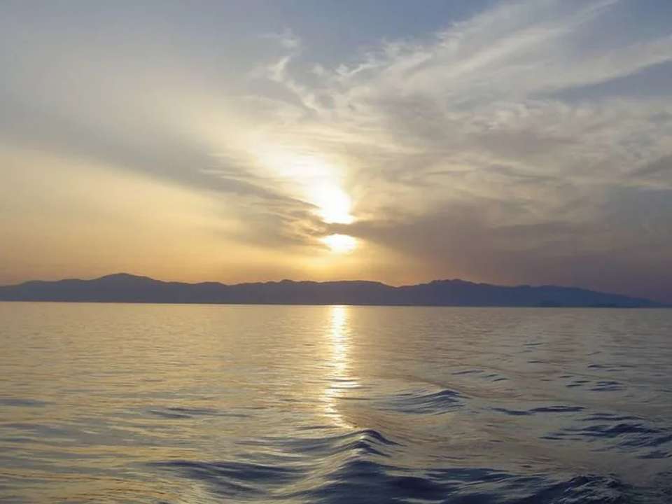 Image 9 of 18