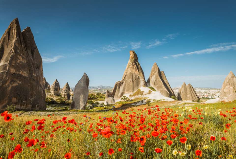Greek Islands & Turkey Express - 11 days - On The Go Tours - Greece - Image 13