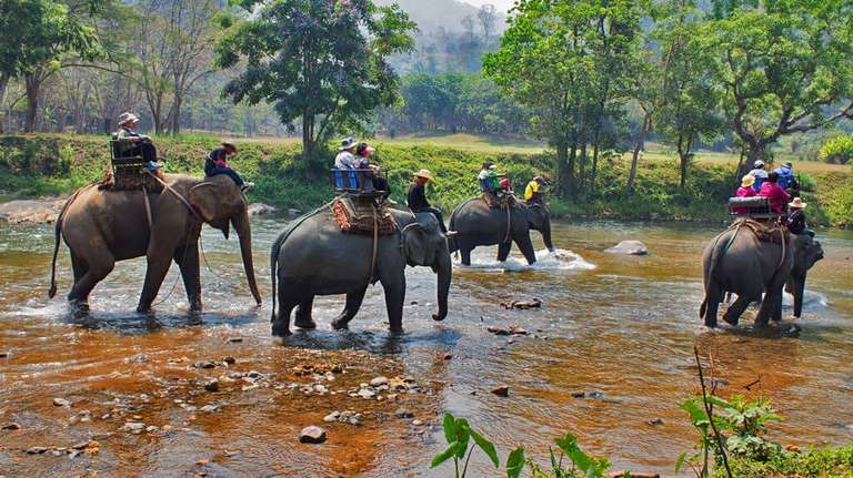 Green Park Chitwan - 4 days