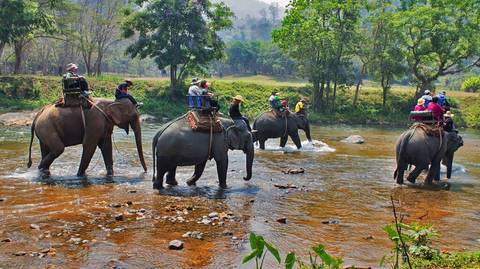 Green Park Chitwan - 4 Days - Winter Tours