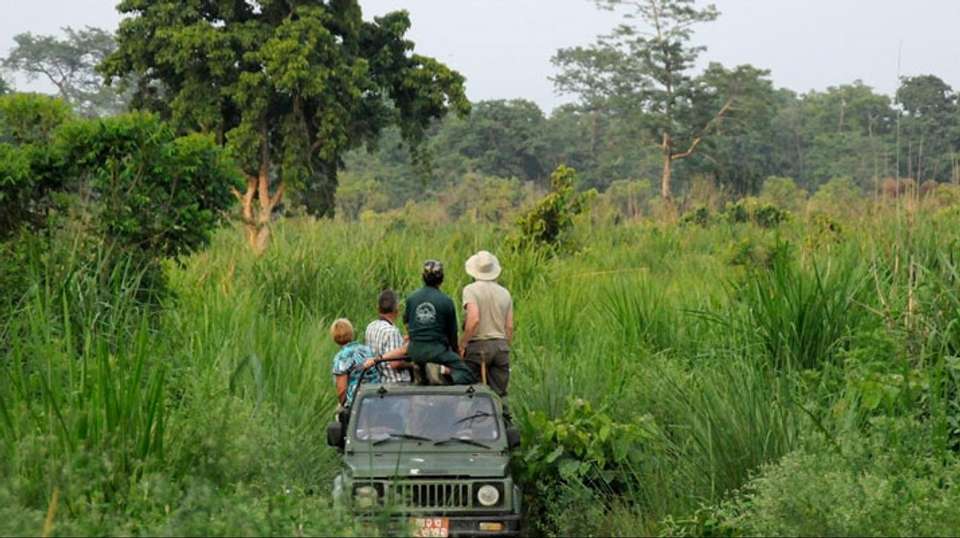 Green Park Chitwan - 4 days - Master Himalaya Treks And Expedition Pvt Ltd - Nepal