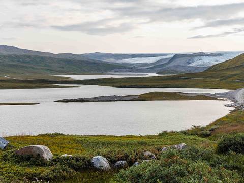 Scandinavia Explorer Tour: Greenland Disko Bay Discovered - 7 Days