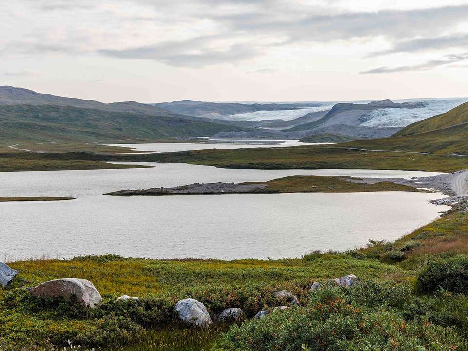 Greenland Disko Bay Discovered - 7 Days - On The Go Tours - Denmark - Image 1