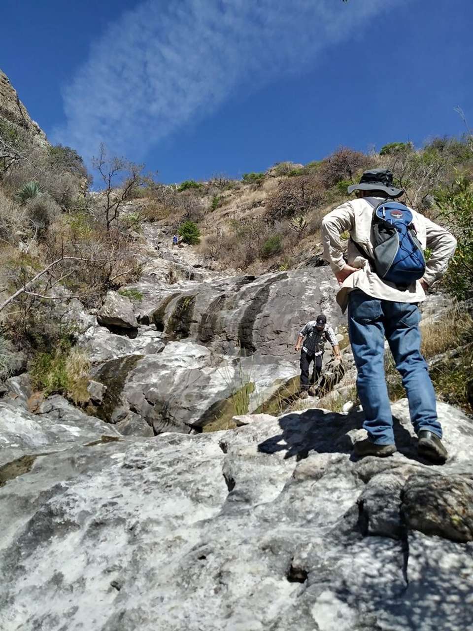Central Mexico Adventure: History, Culture & Culinary Delights (8 Days) - undefined - Image 1