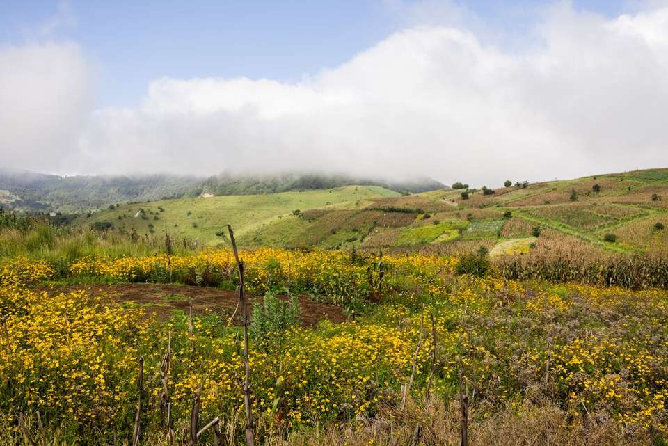 Guatemala & Beyond - Intrepid Travel - Guatemala