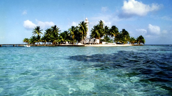 Image 3 of 12
