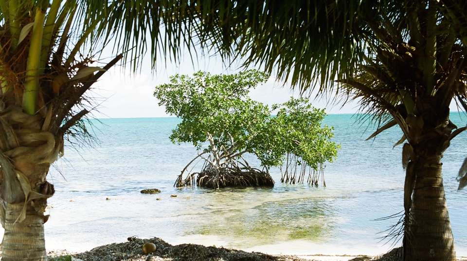 Guatemala Belize Experience - Marvelus Travel - Guatemala - Image 6