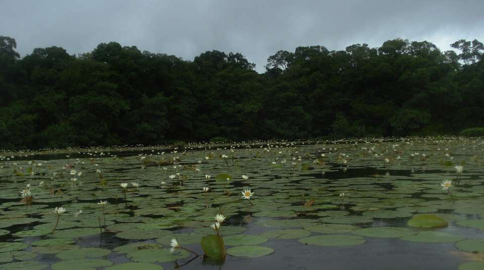 Guatemala Belize Experience - Marvelus Travel - Guatemala - Image 8