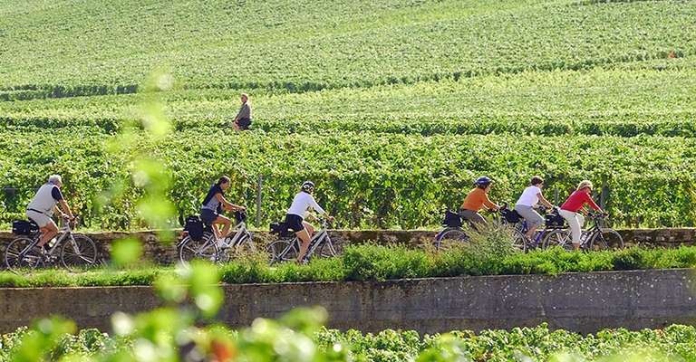 Guided Bike and Wine Tour in Burgundy