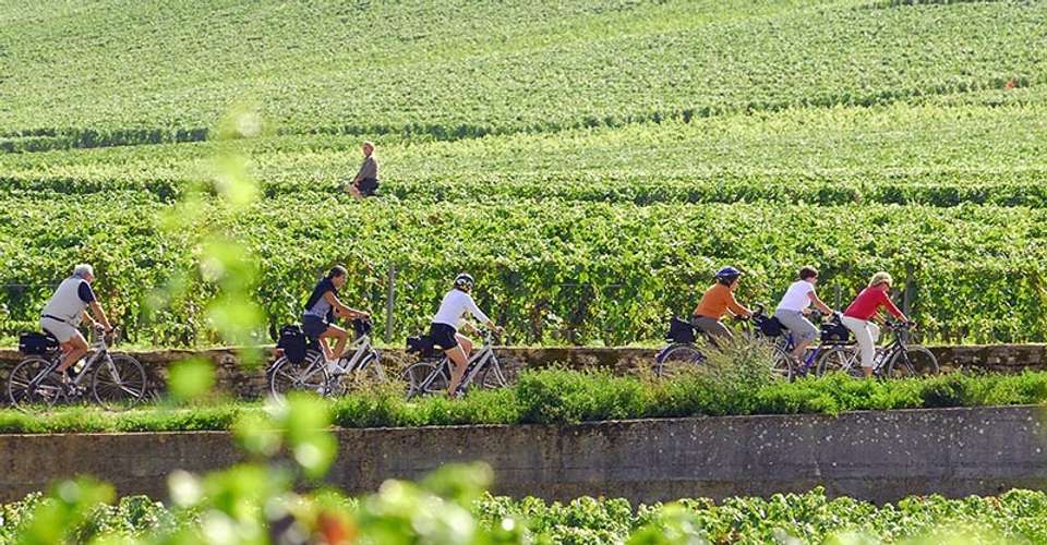 Guided Bike and Wine Tour in Burgundy - Bike And Wine Tours - France - Image 1