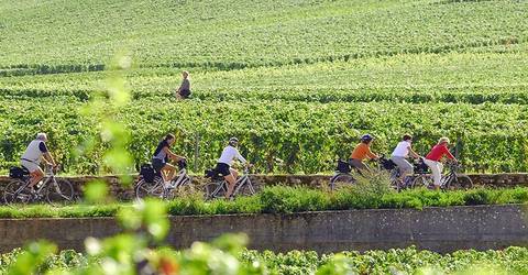 Guided Bike And Wine Tour In Burgundy - November 2026