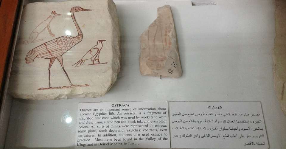 Guided Cairo Tours Visiting Egyptian Museum - Emo Tours - Egypt - Image 8