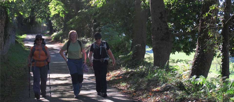 Guided Camino Walk - Sarria to Santiago - Utracks - Spain
