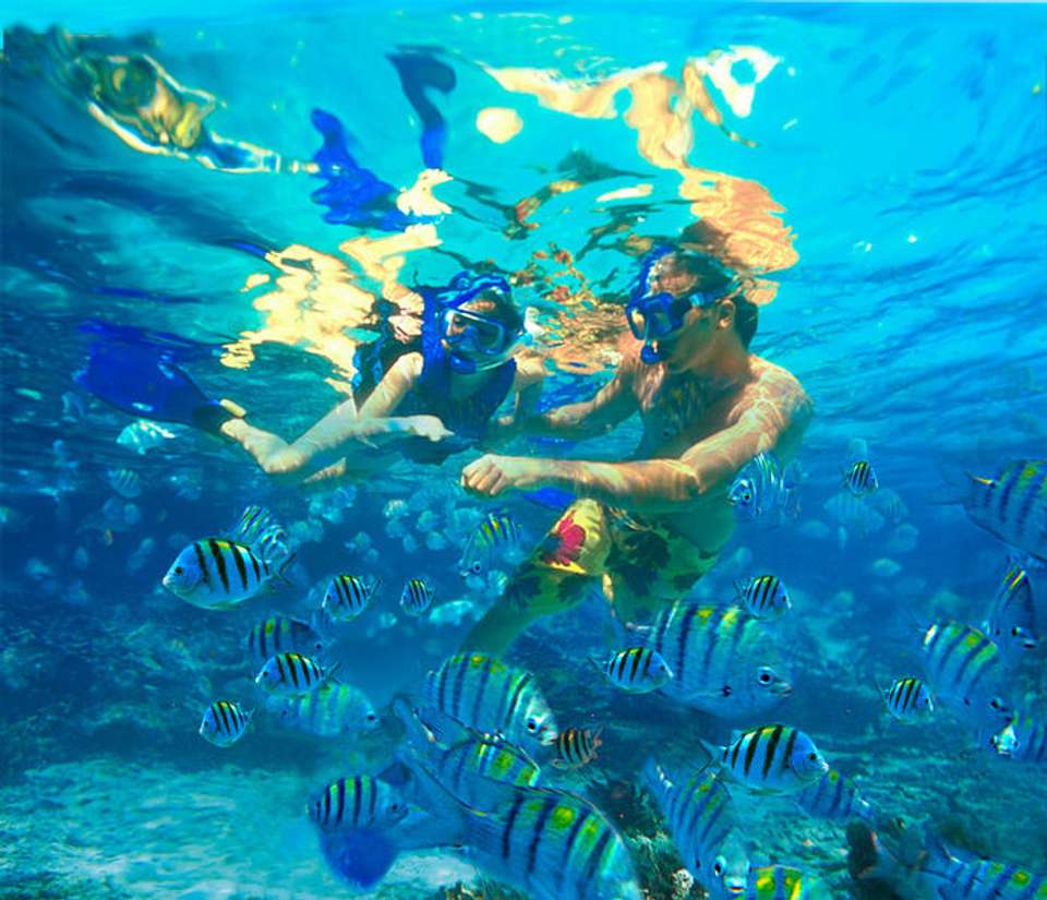 Gulf Of Mexico Tour: A Journey Across Sierra Madre Oriental Cities (8 Days) - undefined - Image 8