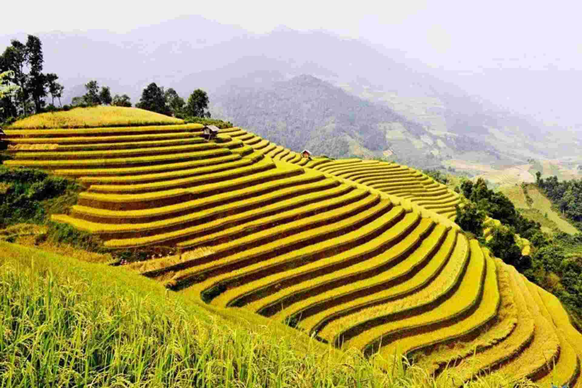 Ha Giang Panoramas 4 Days 3 Nights