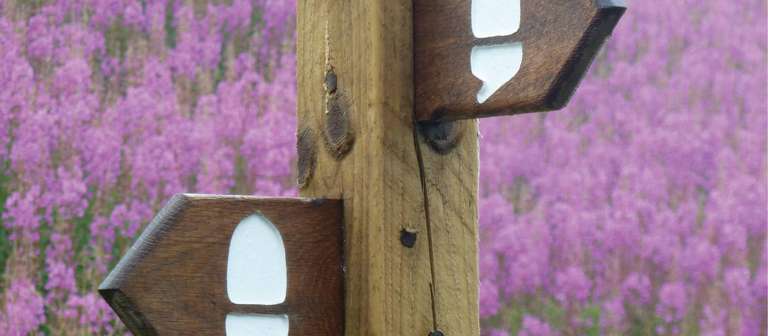 Hadrian's Wall Walk From Whitley Bay - 8 Days trip - alternative tour available