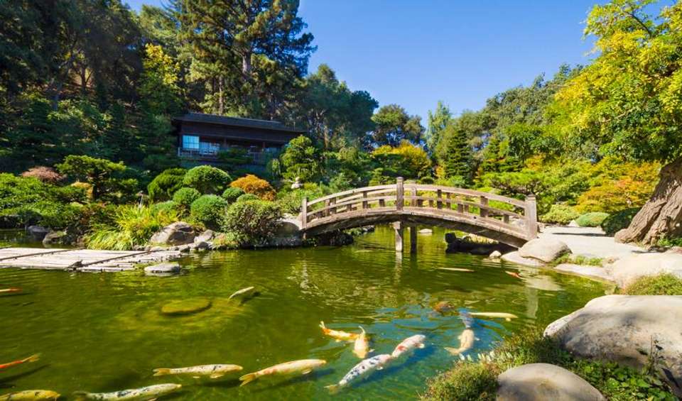 Hakone Discovery, Gateway to Mt. Fuji 3D/2N - Bamba - Japan - Image 3