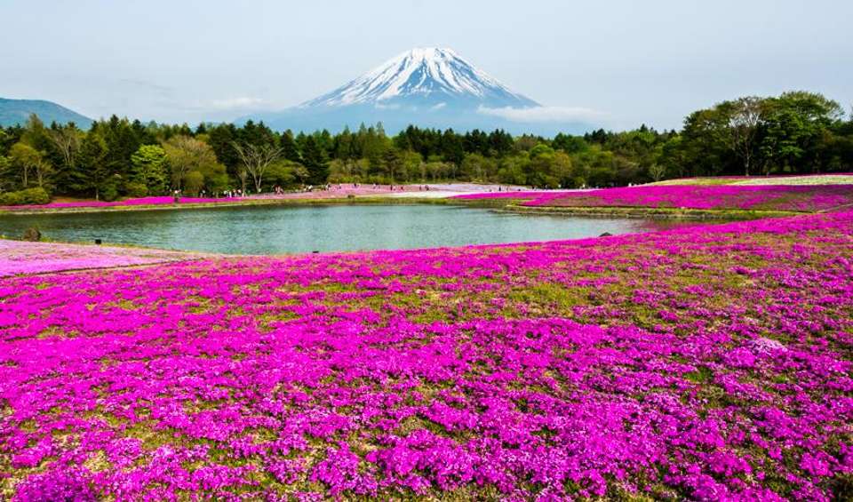 Hakone Discovery, Gateway to Mt. Fuji 3D/2N - Bamba - Japan - Image 4
