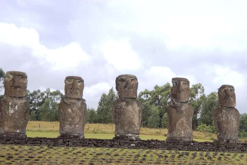 Half Day Ahu Akivi The Seven Moais in Easter Island - Tangol Tours - Chile - Image 2